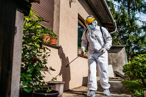 Best Pest Prevention Services  in Ruch, OR