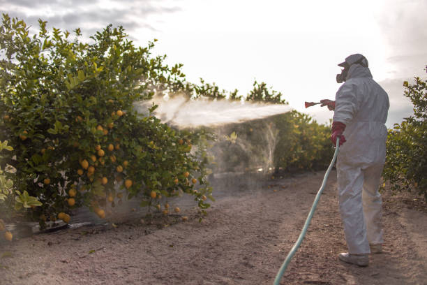 Best Cockroach Control Services  in Ruch, OR