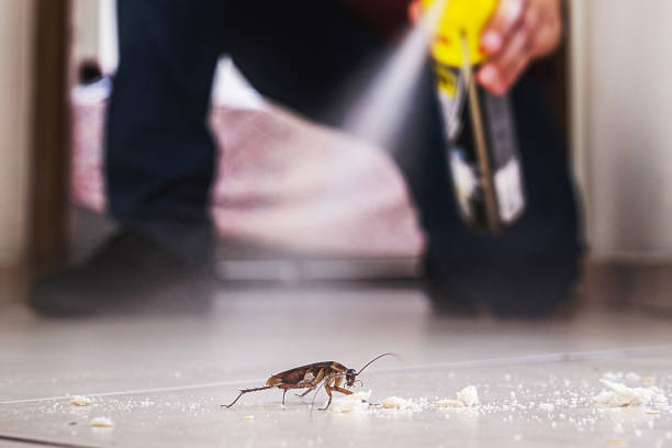 Professional Pest Control in Ruch, OR